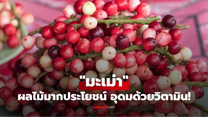 @Jack Bangsue