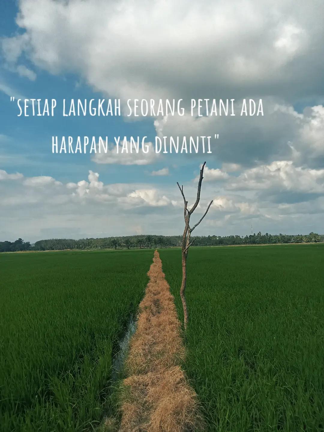 @Amirul Zahari6