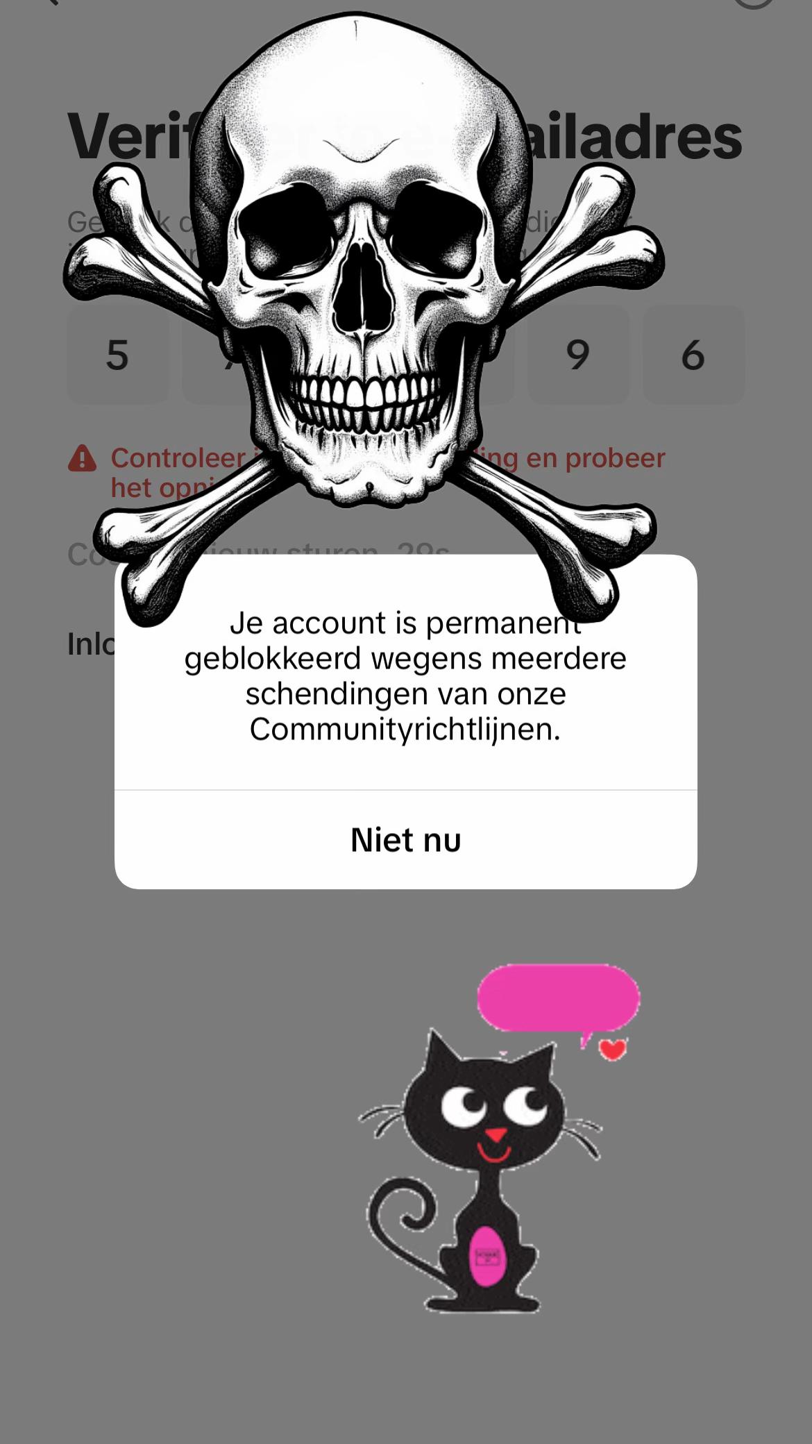 @Ravedina Janneke (backup)