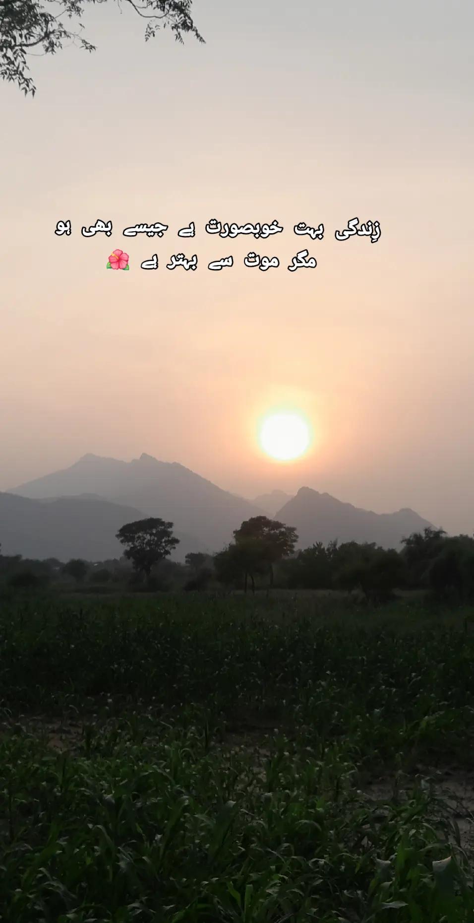 @ژوند پرست 🪐💫