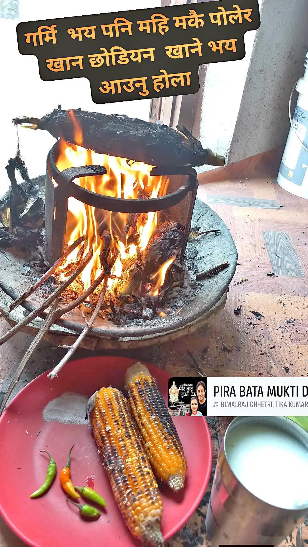 @mina gautam