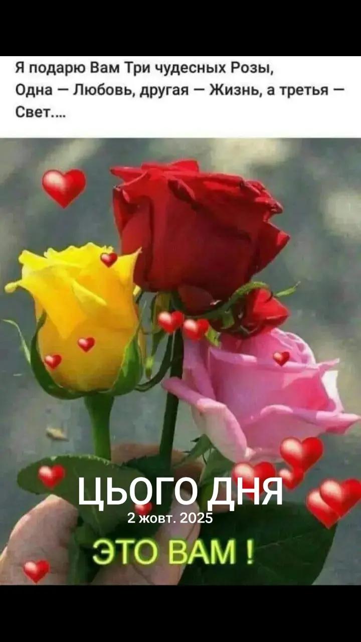 @Мария Ореховская