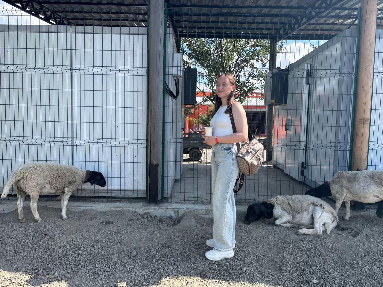 @Лучик солнца ❣️