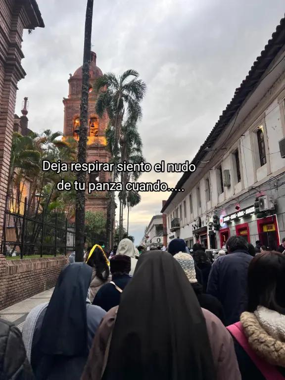 @Mily Venturita