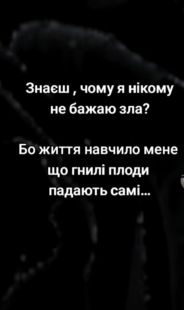 @4_s_a_n_y_a_20