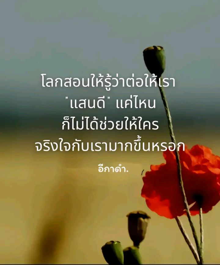 @ฅนรัก ฅนรัก