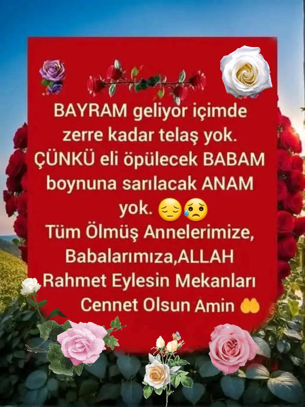 @🇹🇷Yasemin 01 35🇹🇷
