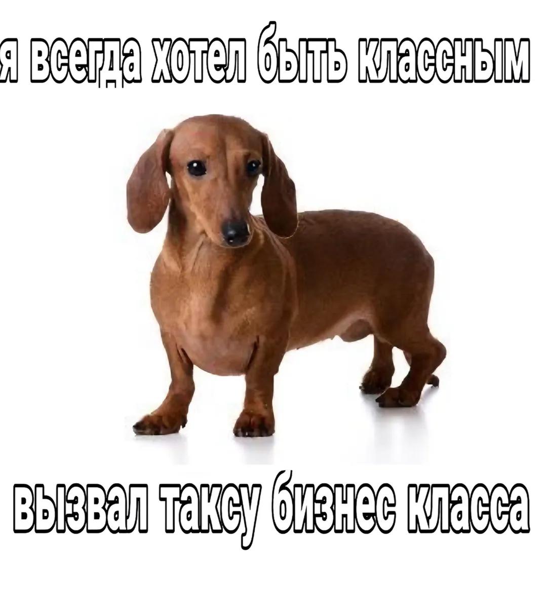 @𝚣𝚎𝚛𝚝𝚡𝚚