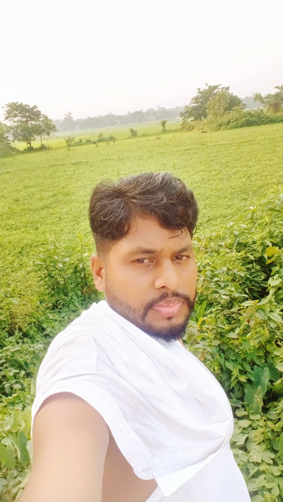 @MD: CHAN MIAH