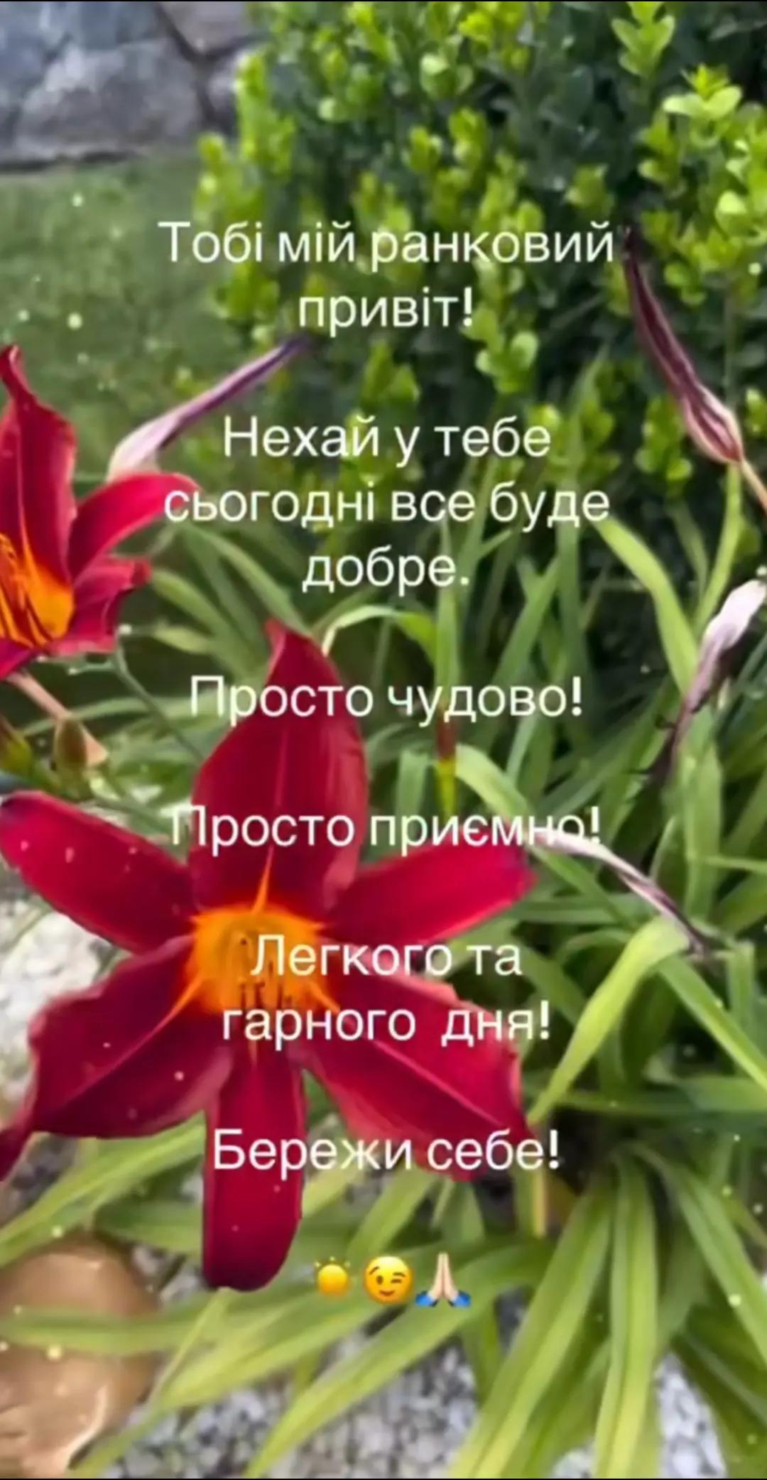 @Мария Ореховская