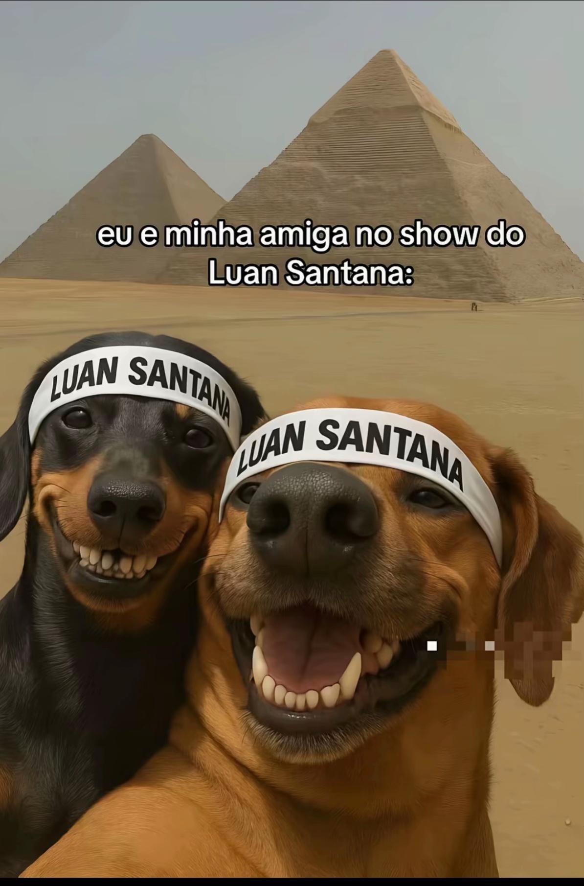 @Leticia Alves