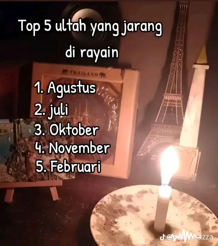@A.afan🦖