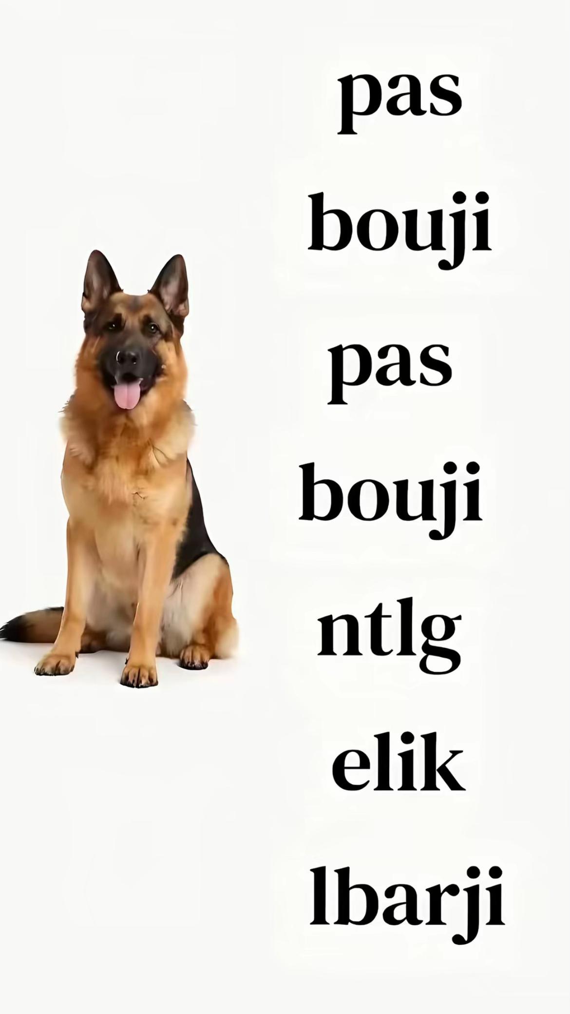 @imranemenss