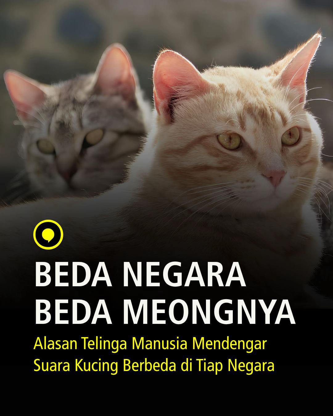 @Opini.id