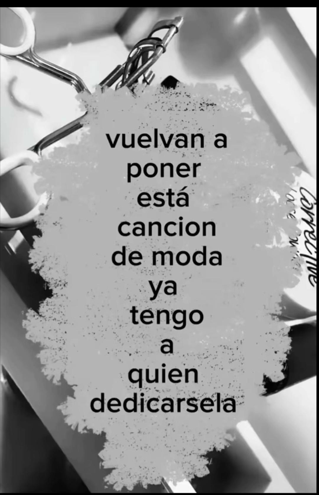 @ᥫ᭡steff