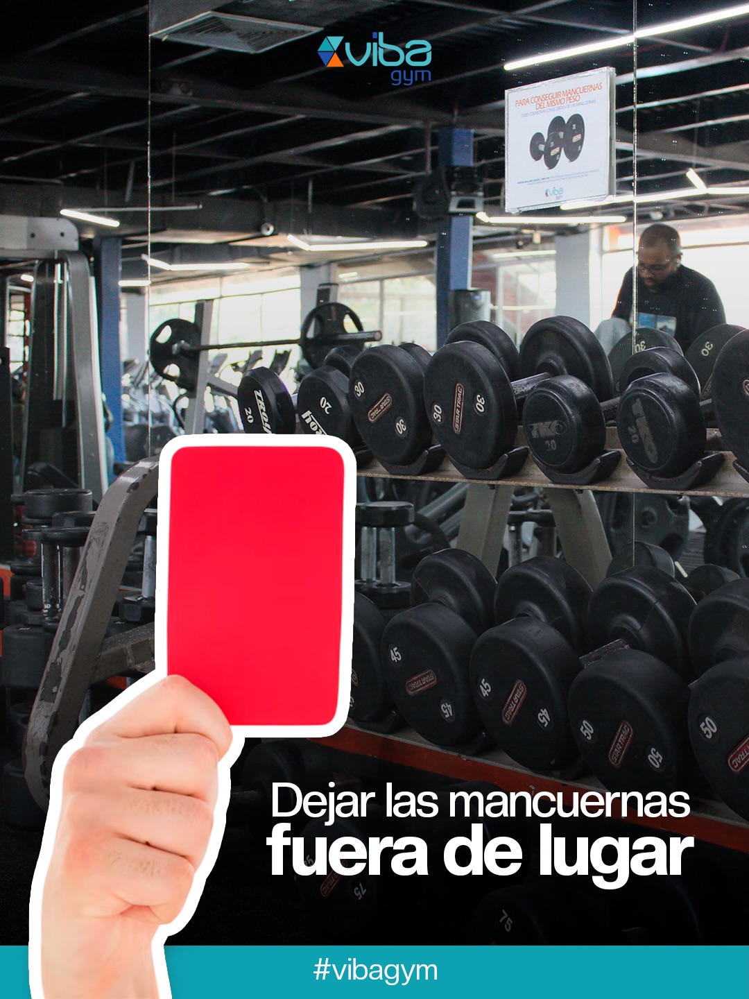 @Vibagym