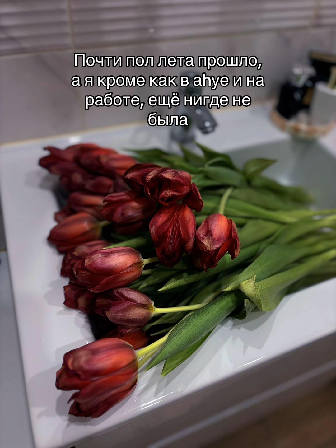 @Хлопушка🤌🏻🤍