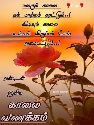 @Sai Meena