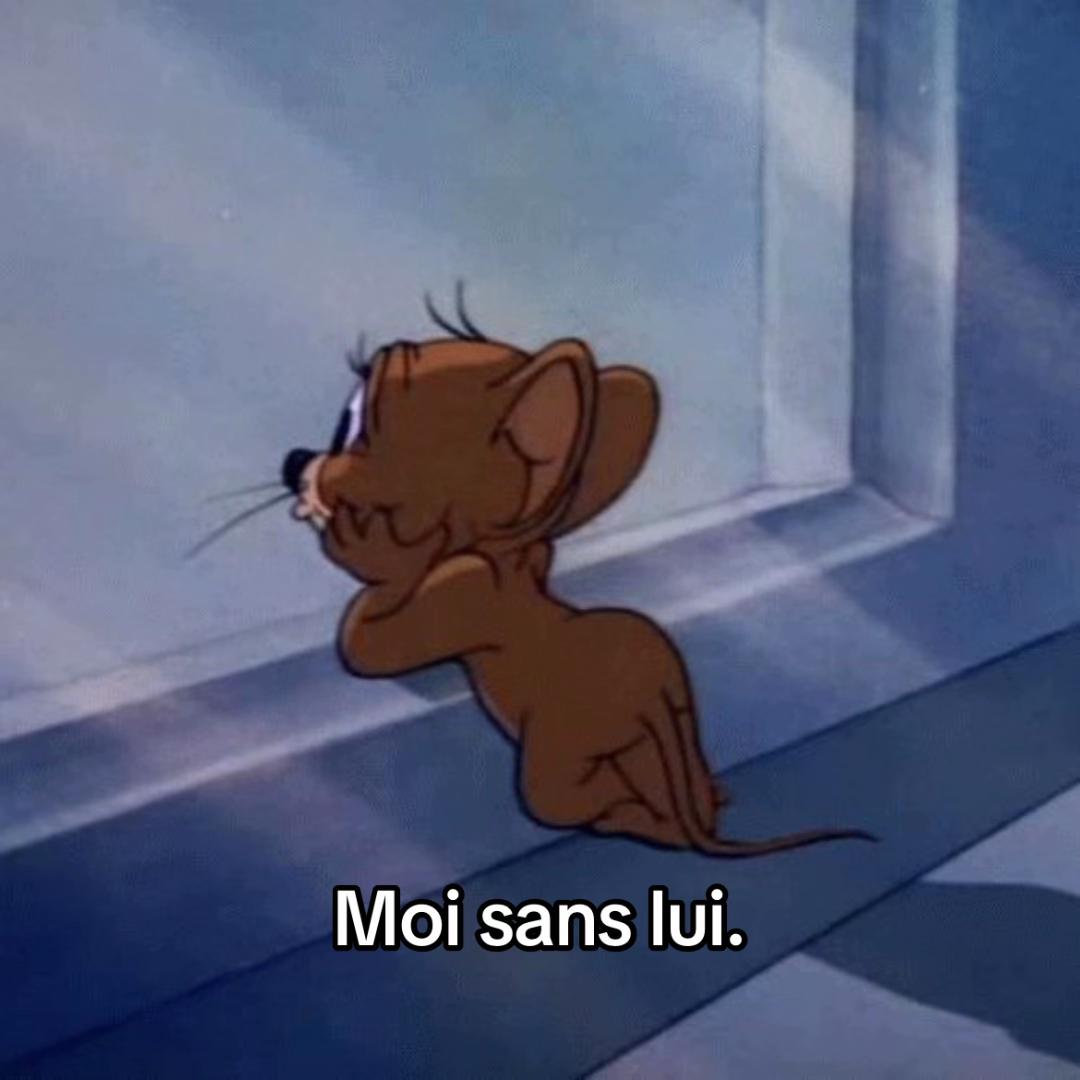 @Rose