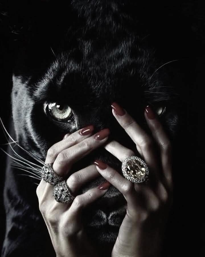 @Рита Бабаян