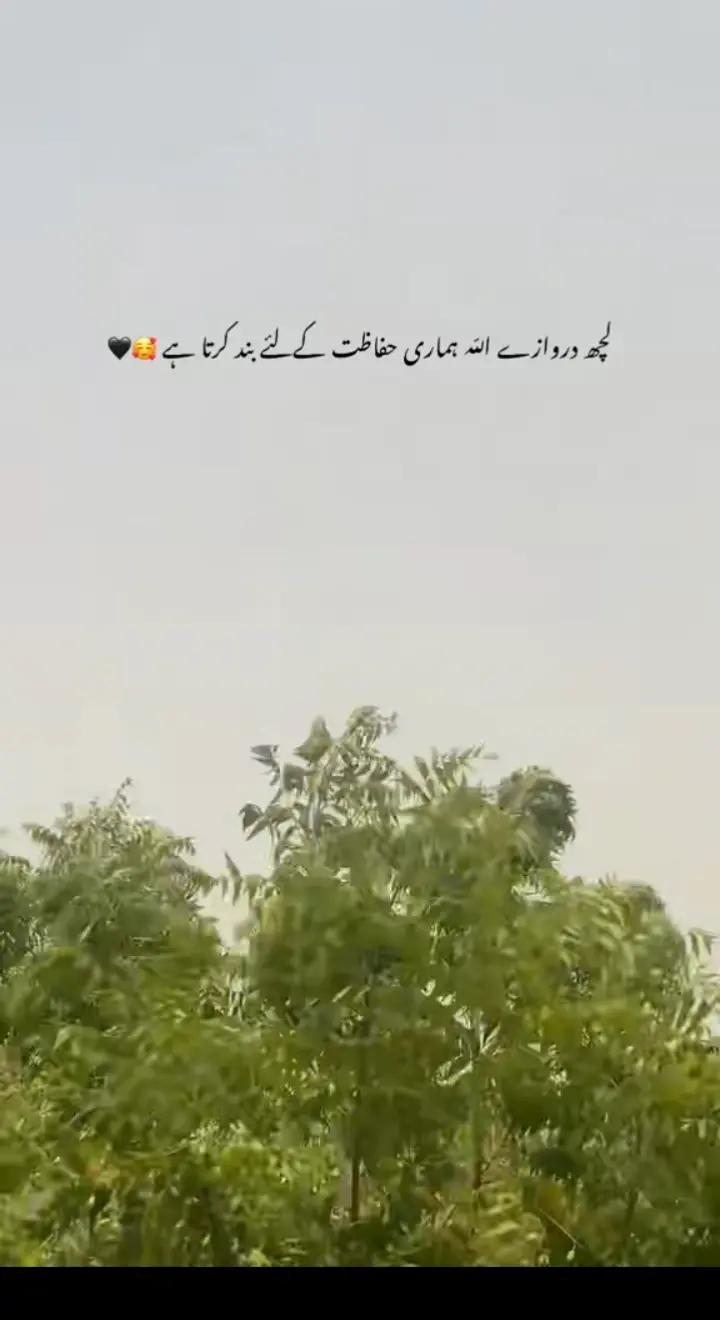@&hearts;NOTYOURUSMAN&hearts;🖤🤎🤍