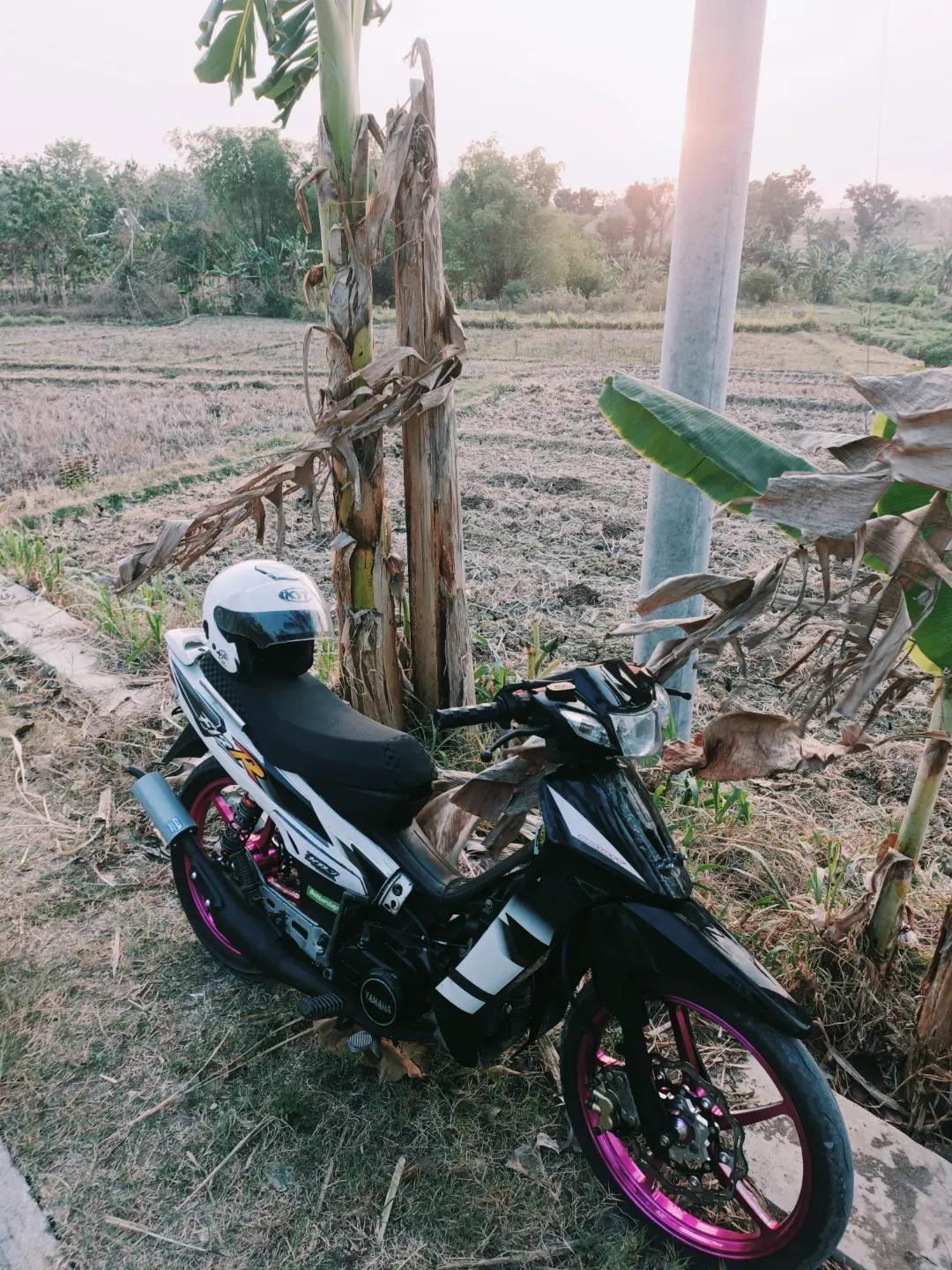 @NOGOSARI 🦆