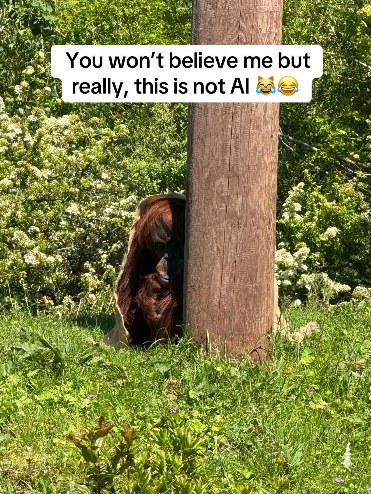 @onemixedbag