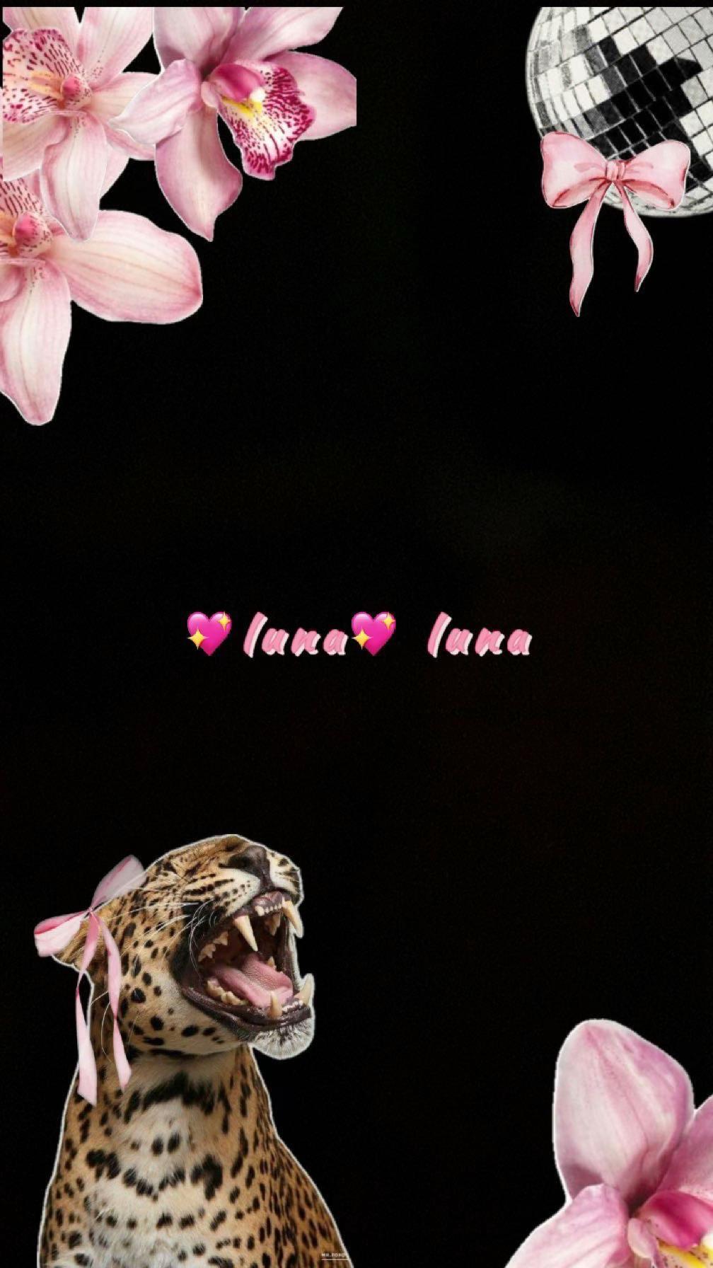 @🫰🏻Łũŋą💞