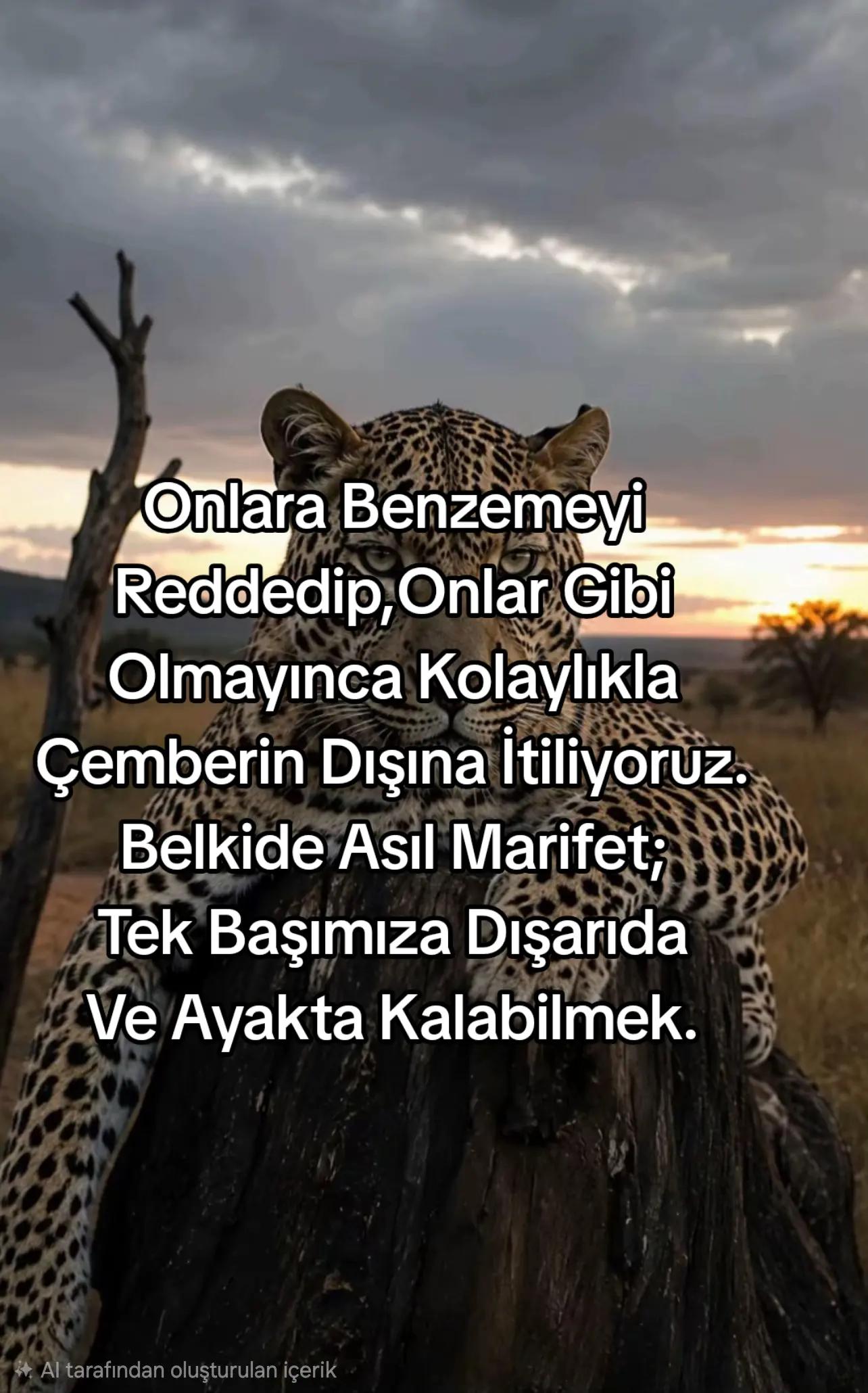 @Hidayet 20