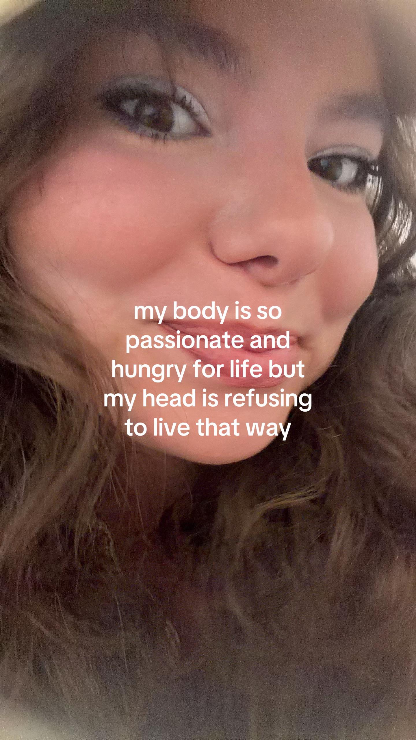 @sillebeb😸