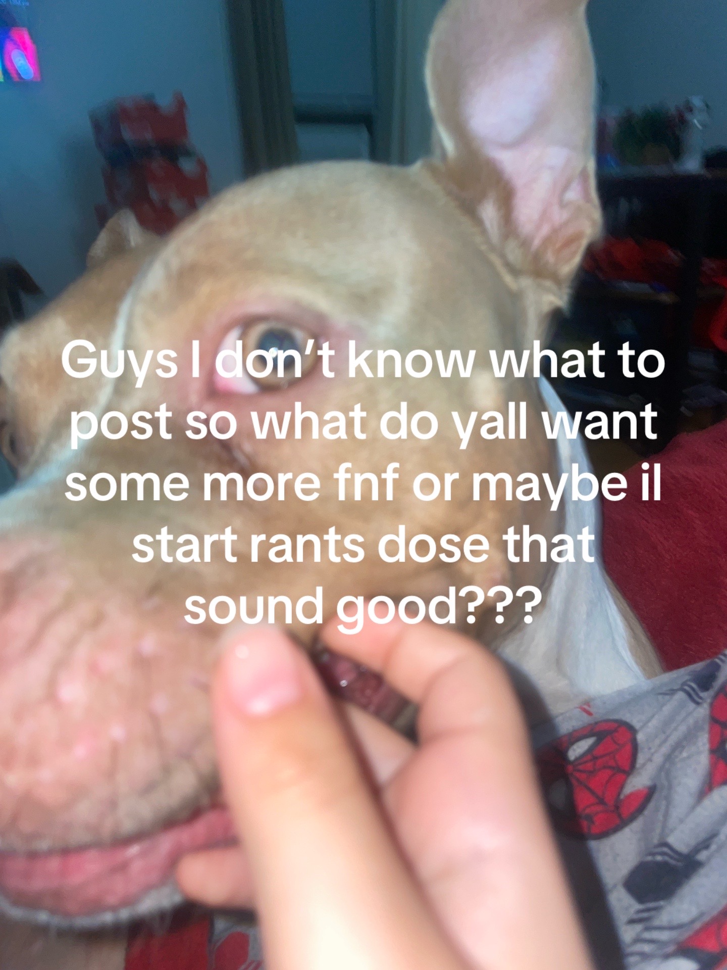 @:/