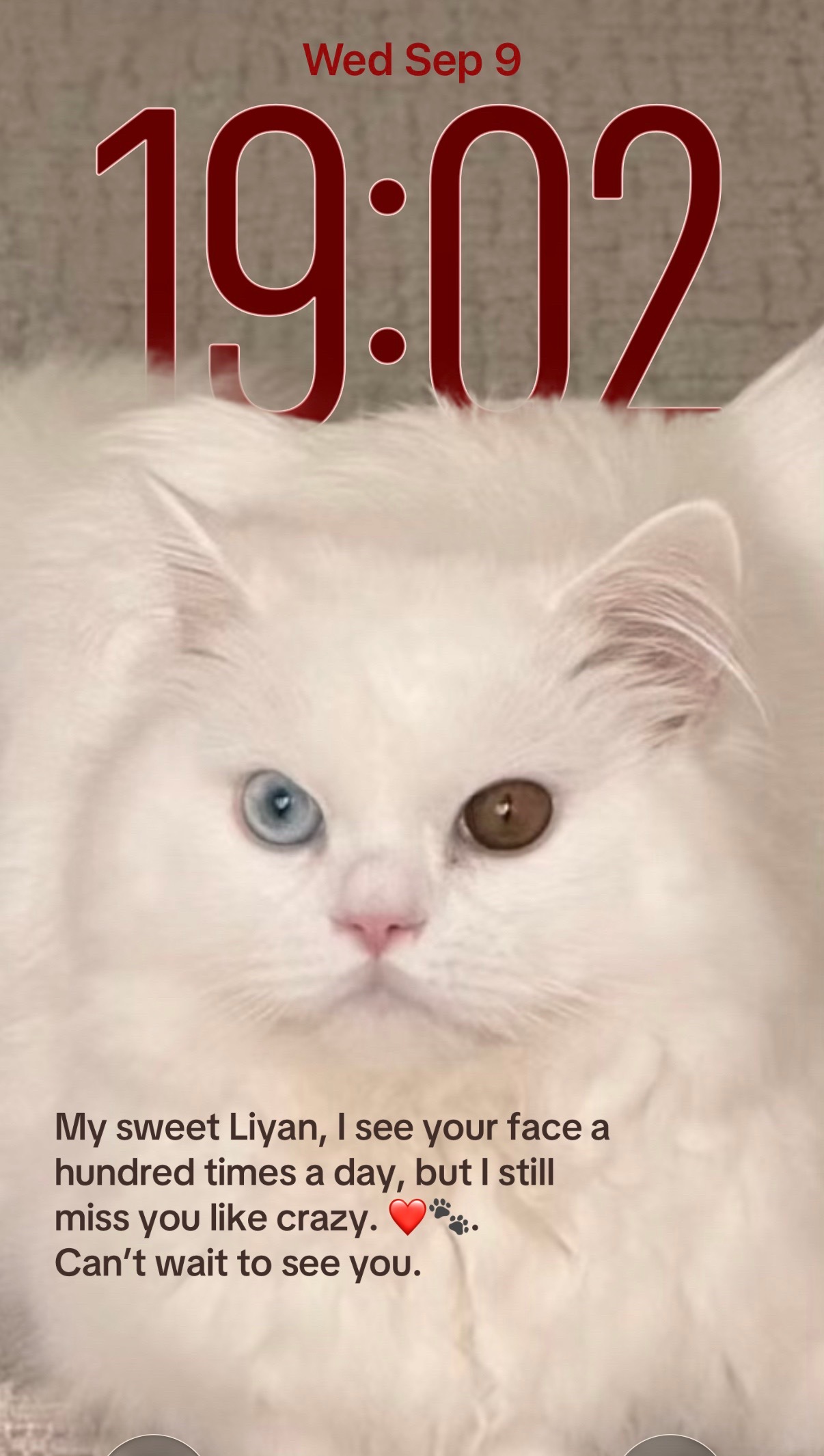 @Laily&Liyan 🐾