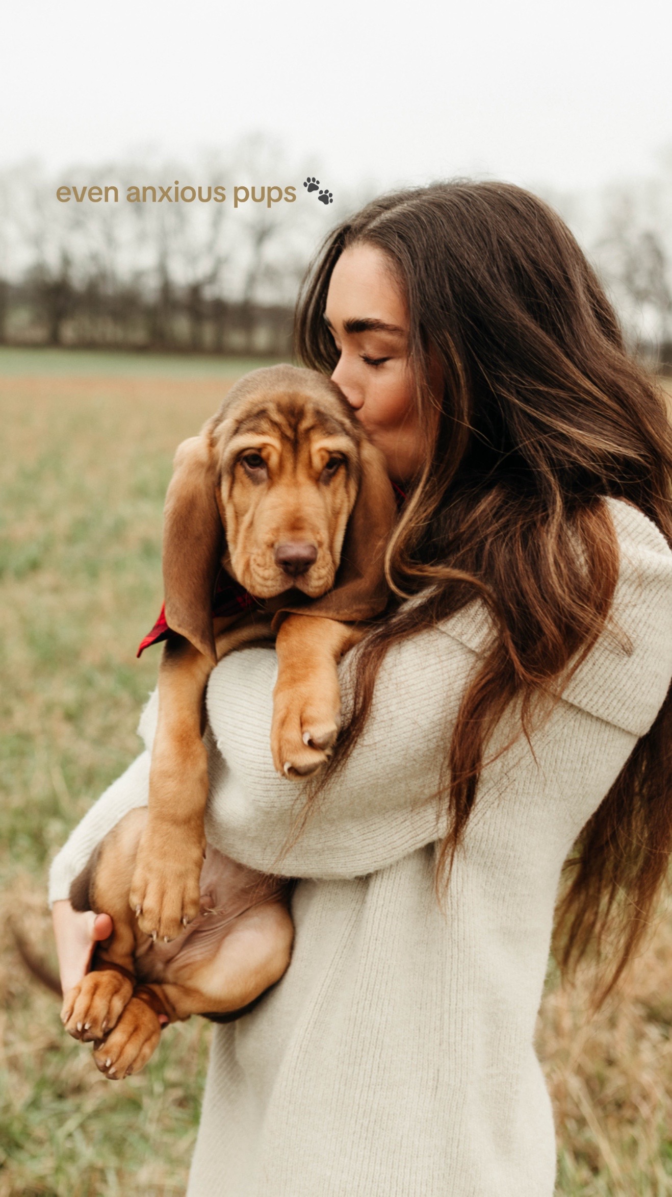 @ALLY RAY | TN REALTOR | CPT