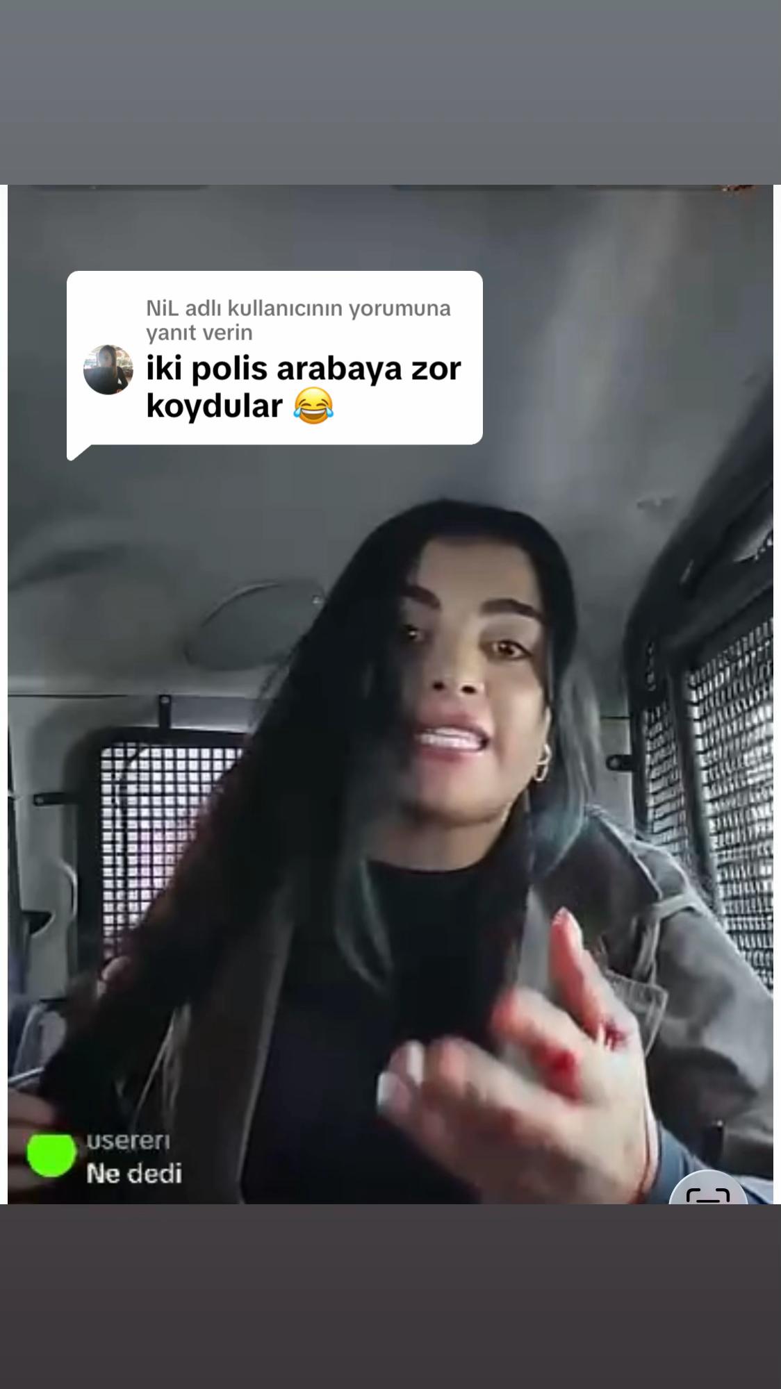 @Volki tolki