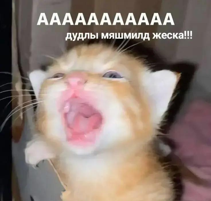 @❗ПЕРЕЕЗД❗kokes BRUH⁴² !