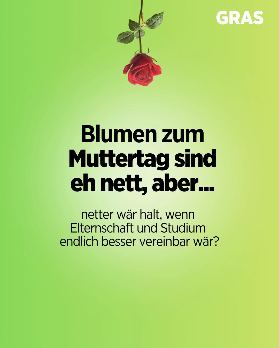 @Gr&uuml;ne & Alt. Student_innen