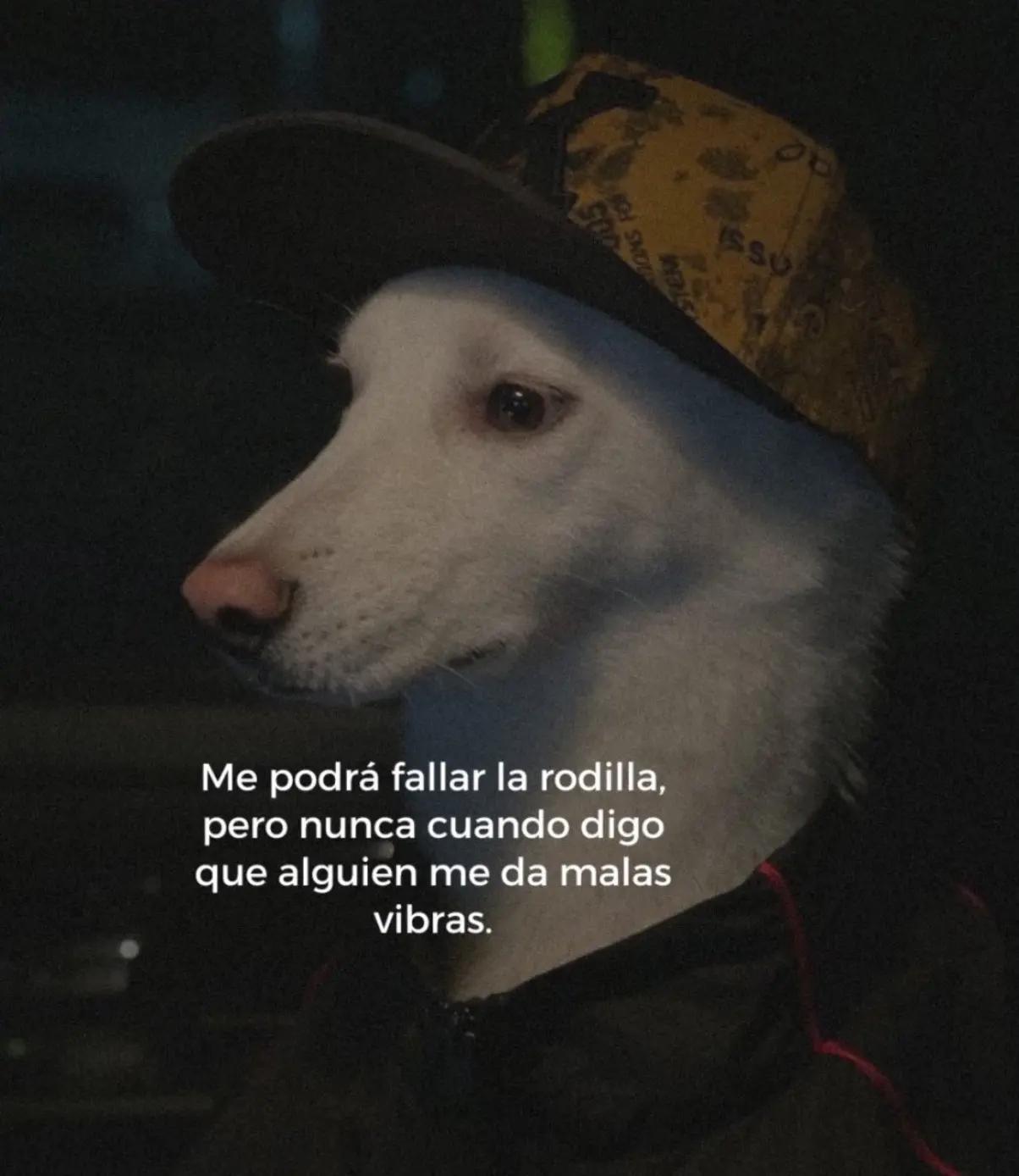 @Carlos Alberto
