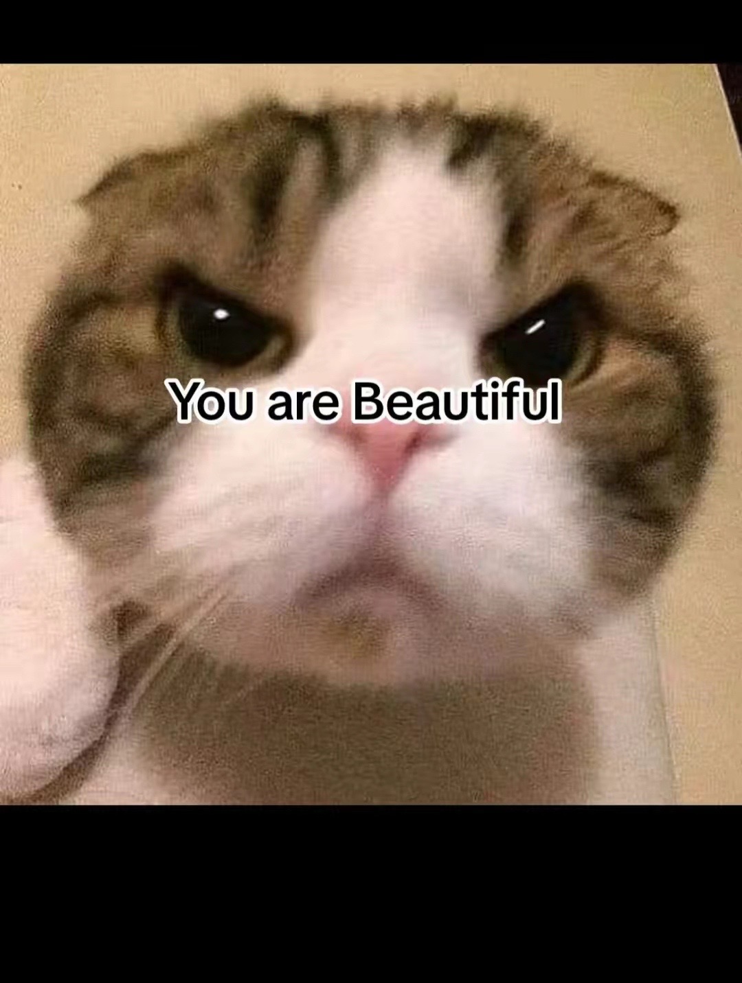 @demonplays