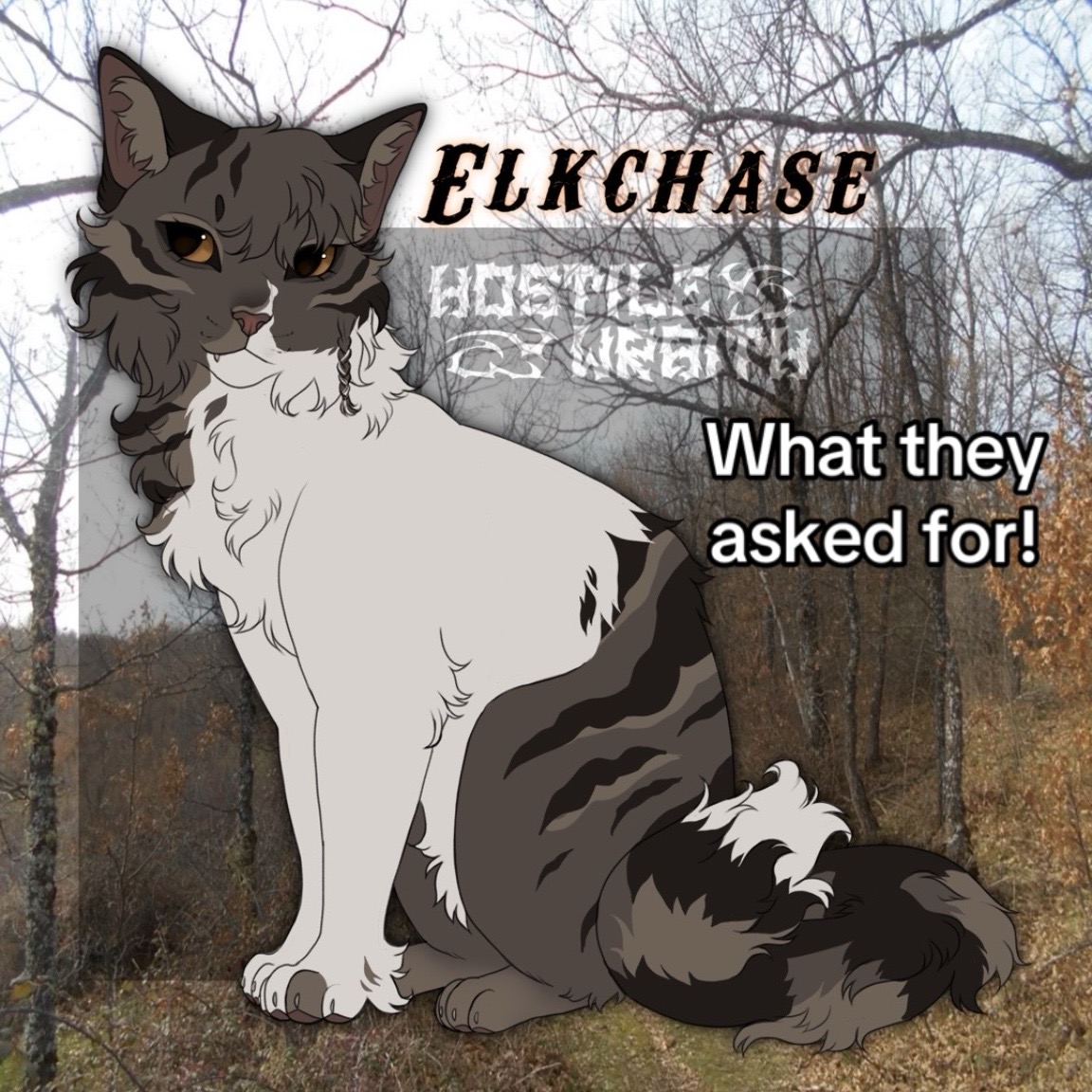 @Cool Cat COMMISSIONS OPEN