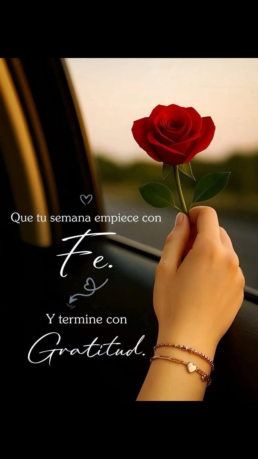 @ludy vazques