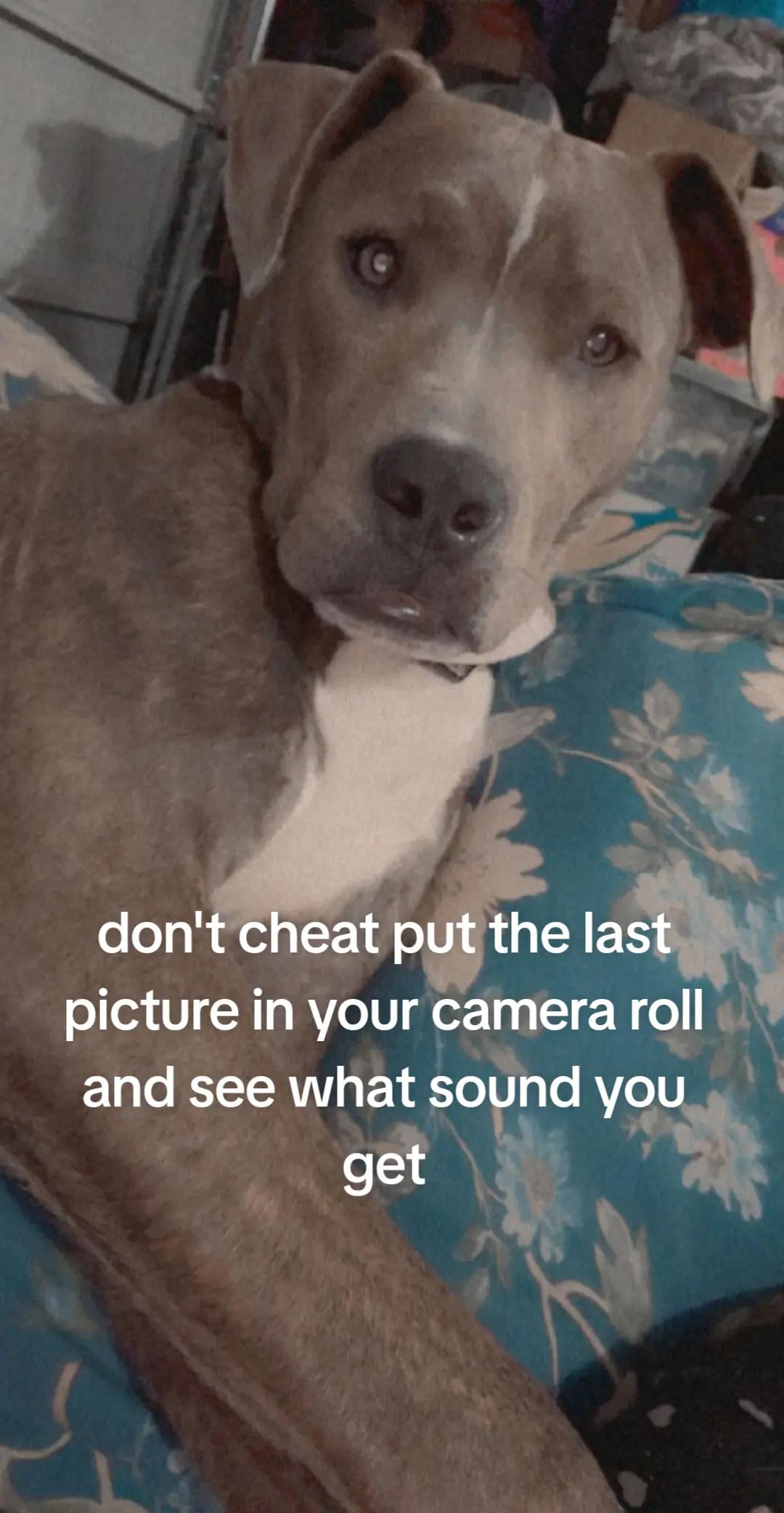 @Ella Alexander