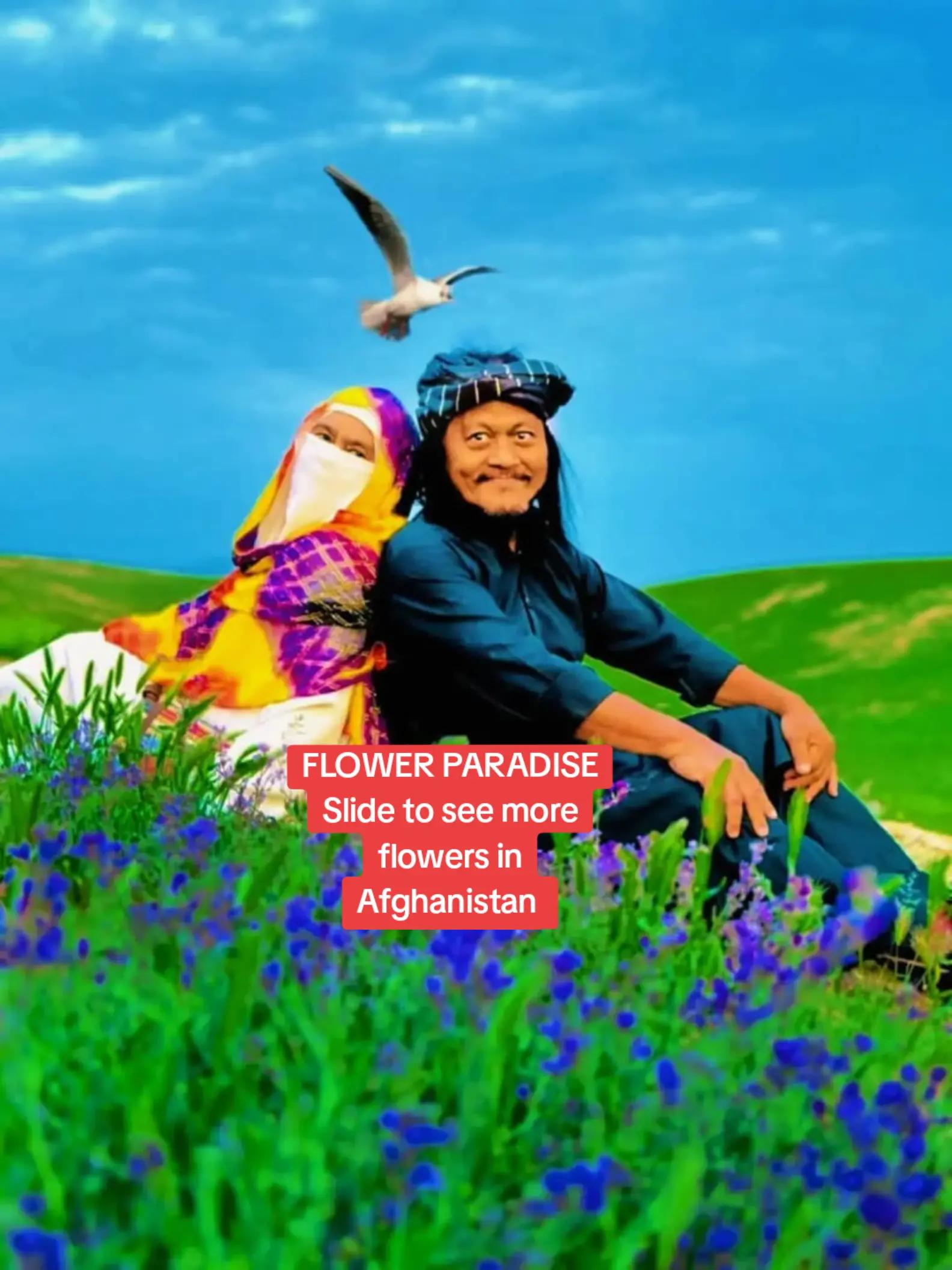 @HABIBI NOURAIN ALISYAKI