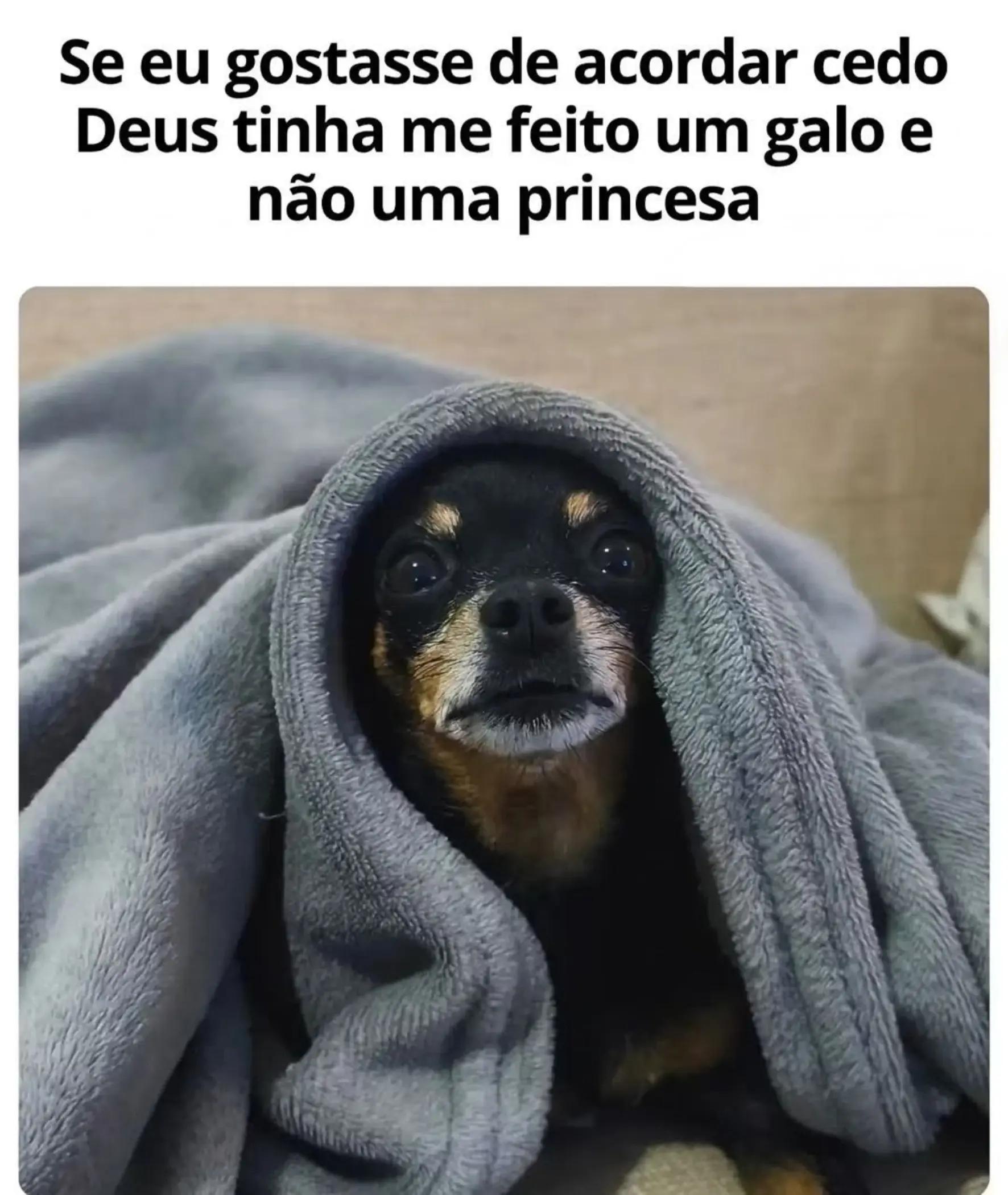 @Eliane Souza