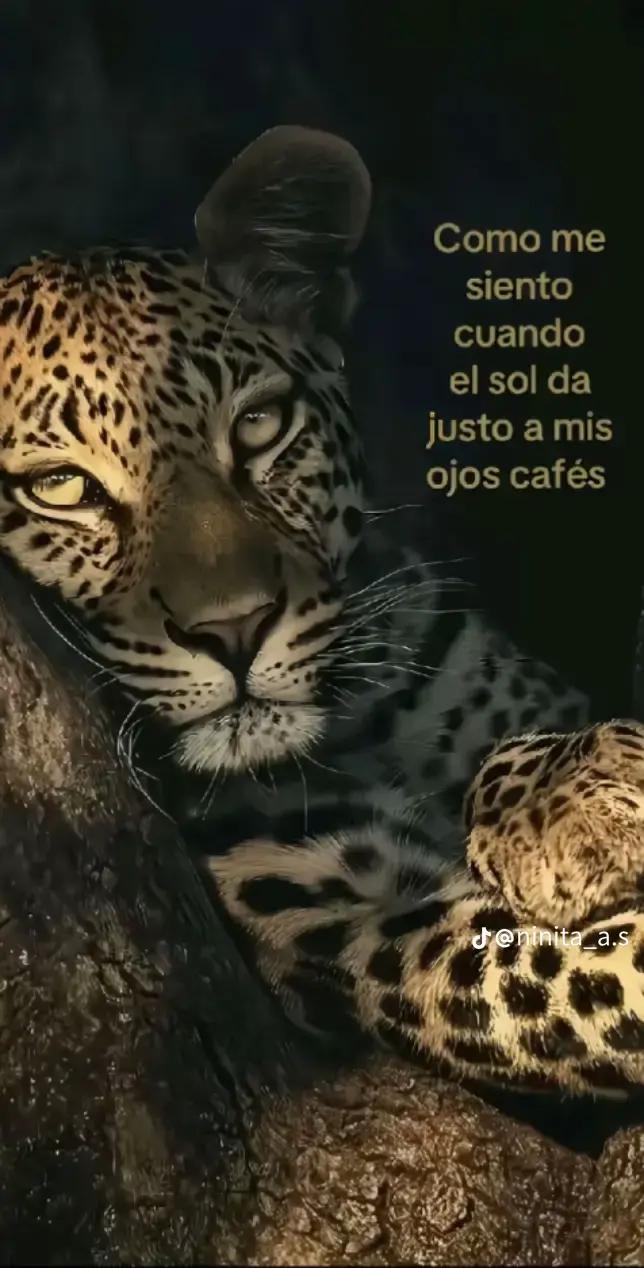 @!★&iexcl;