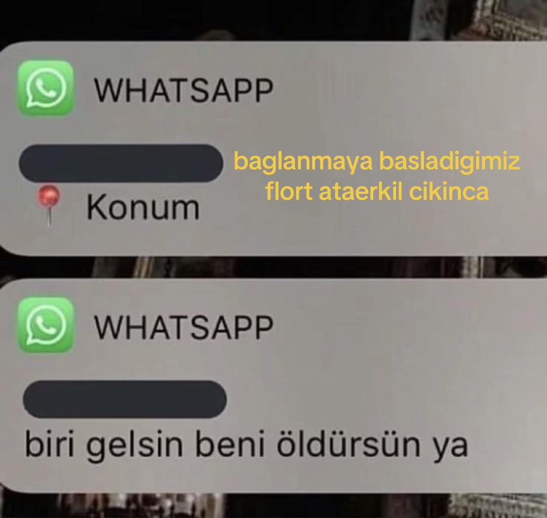 @user333798