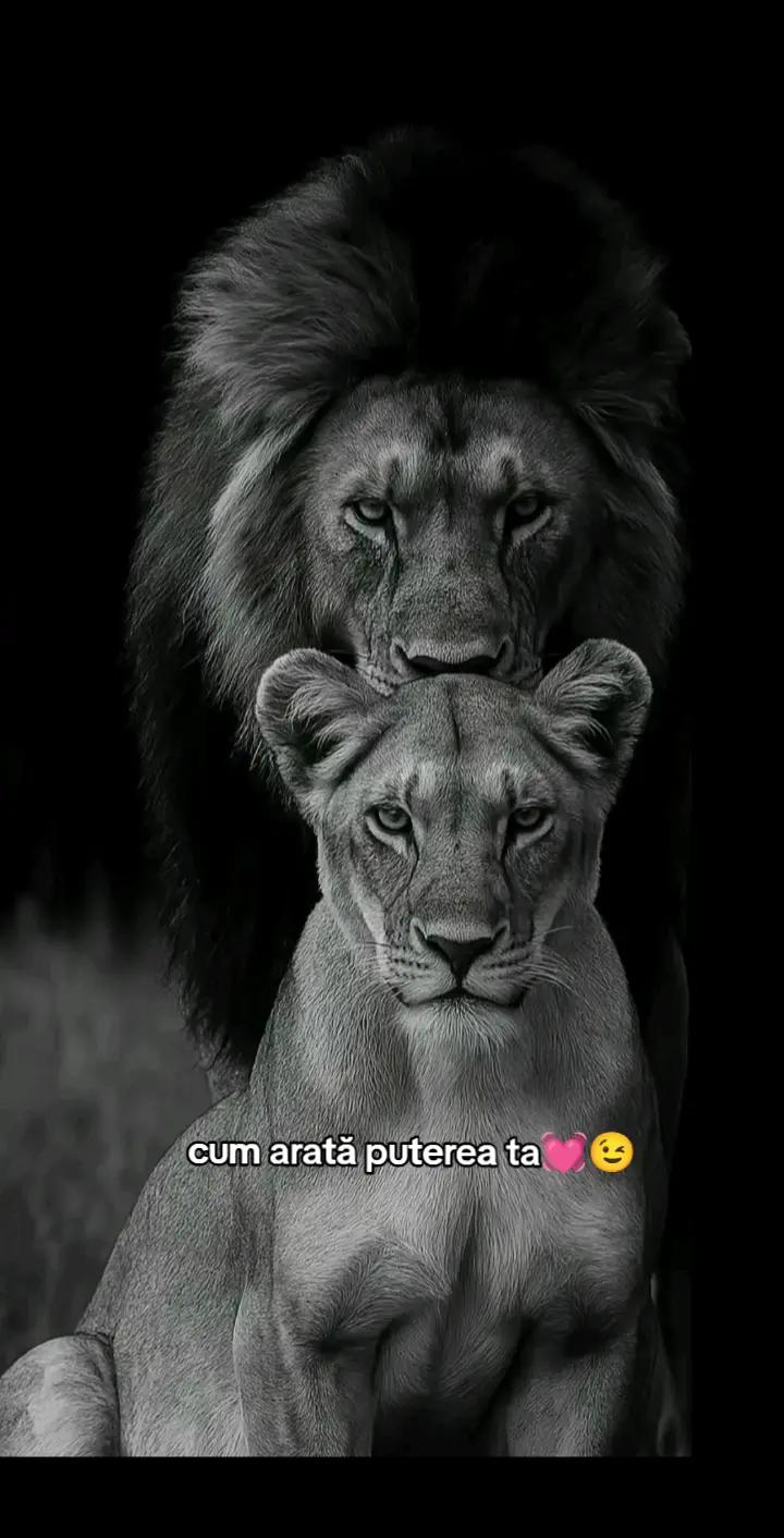@șefa ta🥰😍