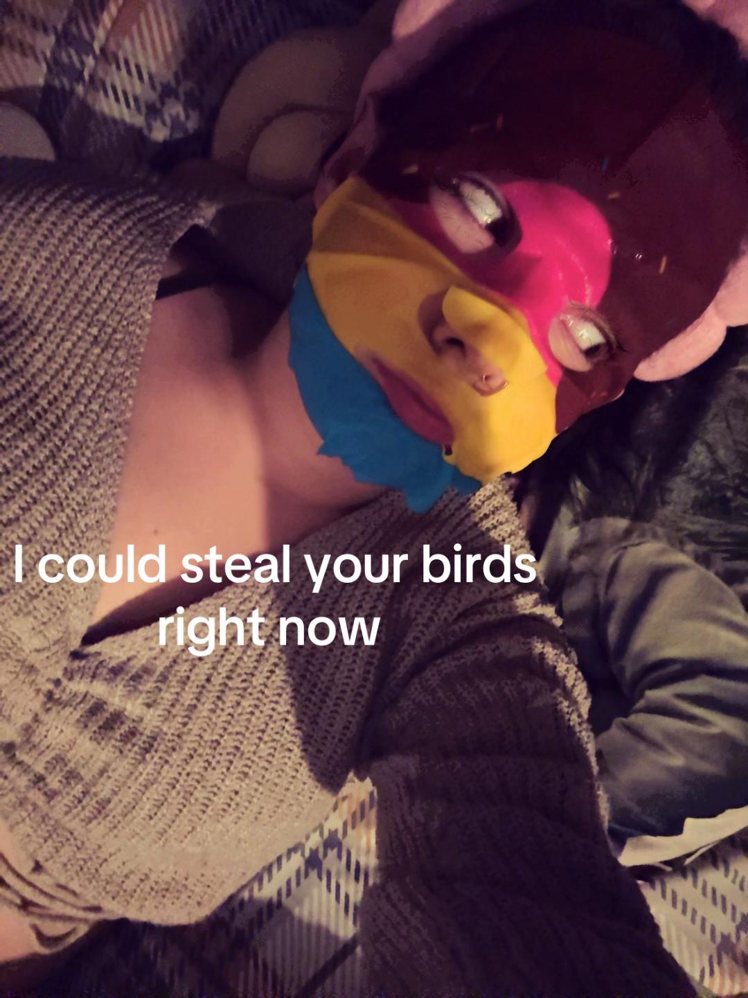 @🐬🐬🐬