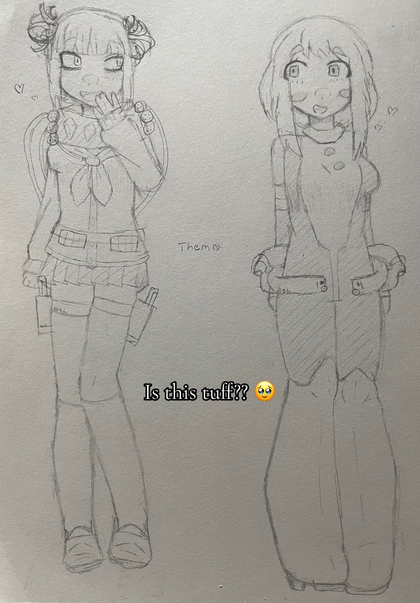 @˚₊‧ ꒰ა ash ໒꒱ ‧₊˚