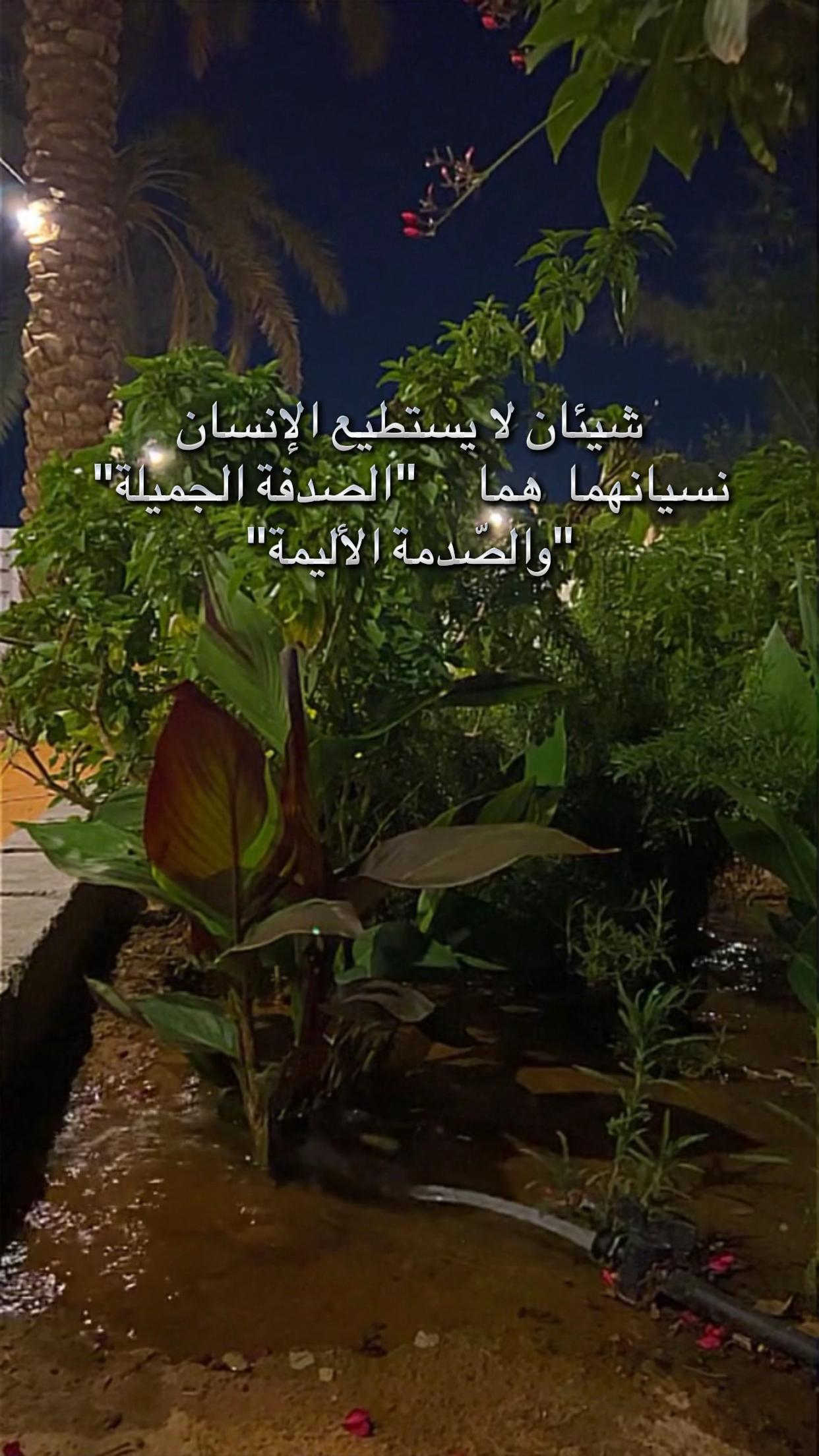 @AL nawawi 🦅