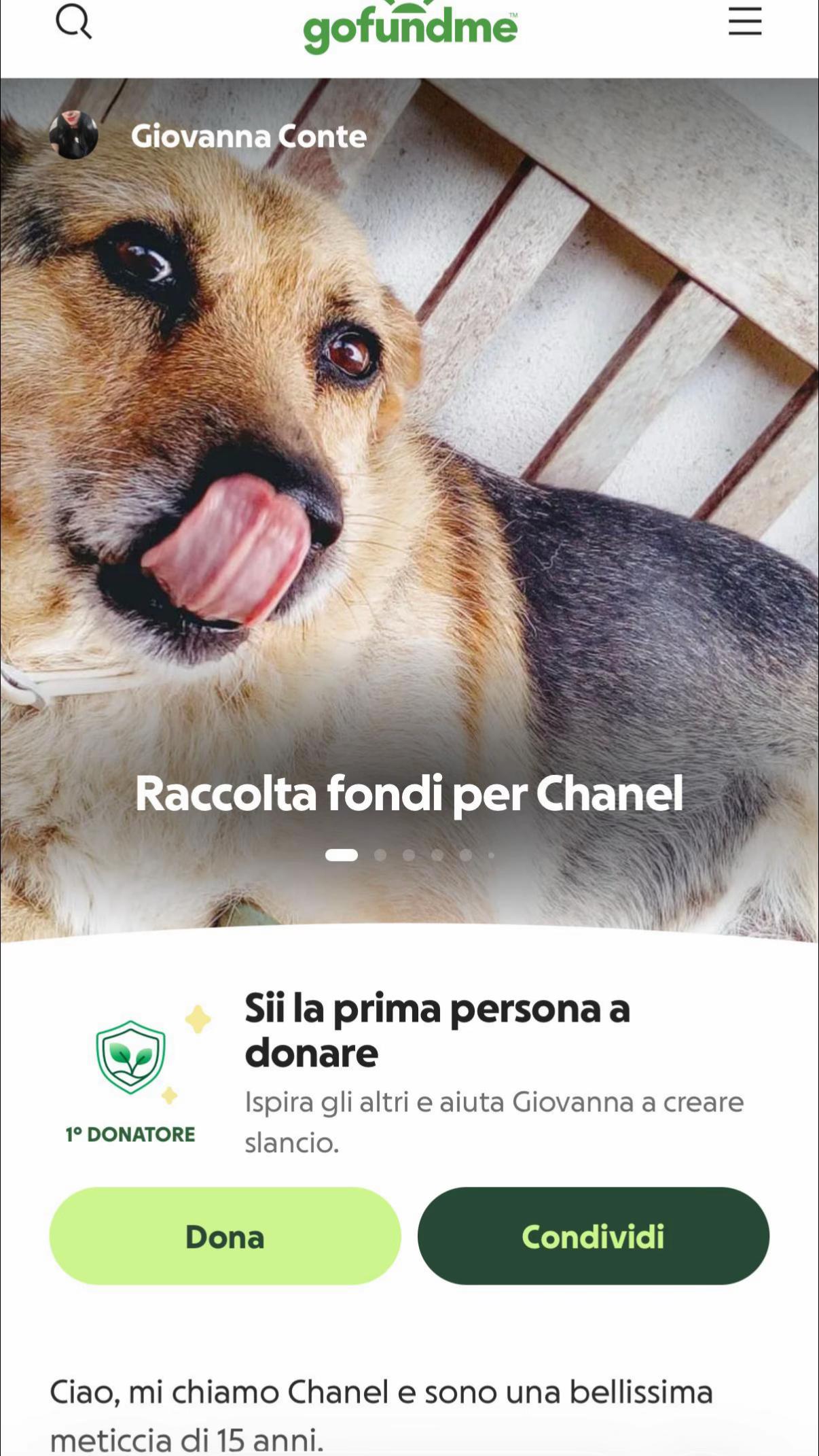 @Donatella Conte